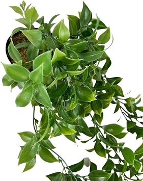 Artificial Flower Sagging in Pot Fejka Green Lemon Leaf Artificial Ivy 60cm