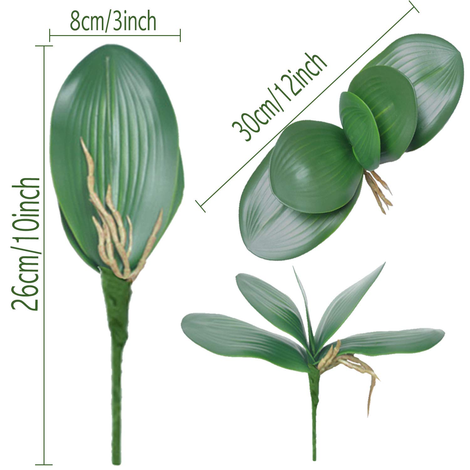 FagusHome 6 PCS Artificial Phalaenopsis Orchids Leaves 11 inches Green Faux Orchids Leaf (6 Pcs)