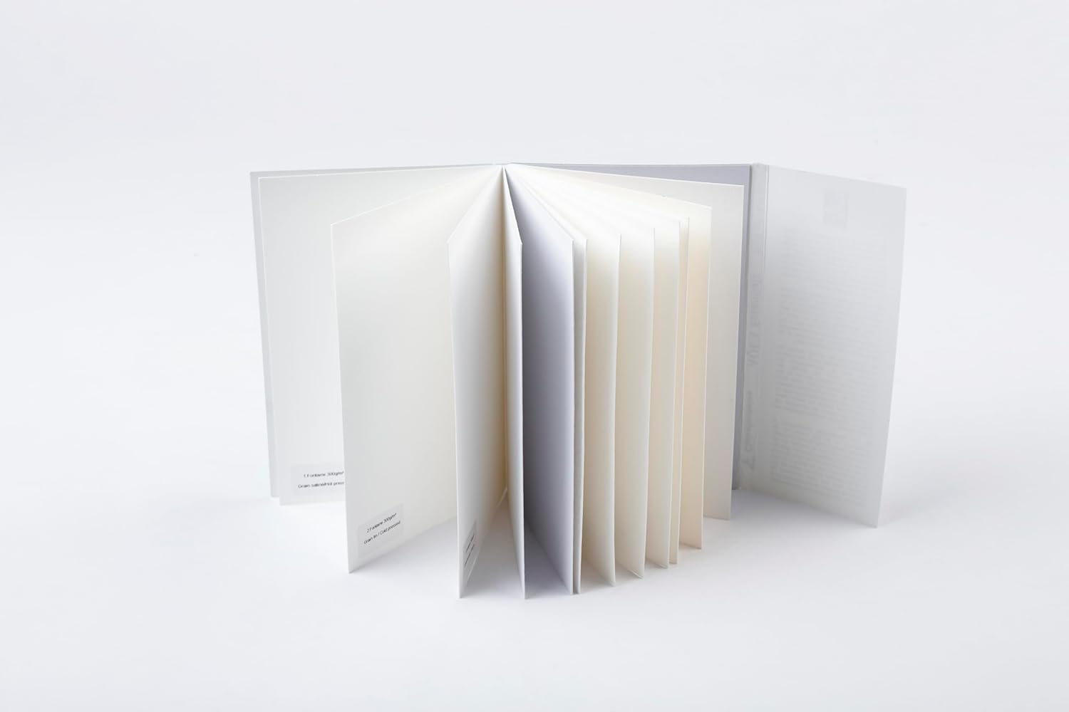 Clairefontaine 976097C Bloc Encollé Aqua Essential 10 x 15 cm - Assortment of 12 Paper Watercolours - Ideal for Technique Humide