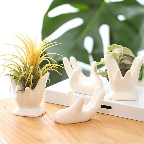 Miniatura 4 de Soporte para plantas de aire, bonito recipiente de cerámica para plantas de aire Tillandsia para suculentas, decoración del hogar para estante de