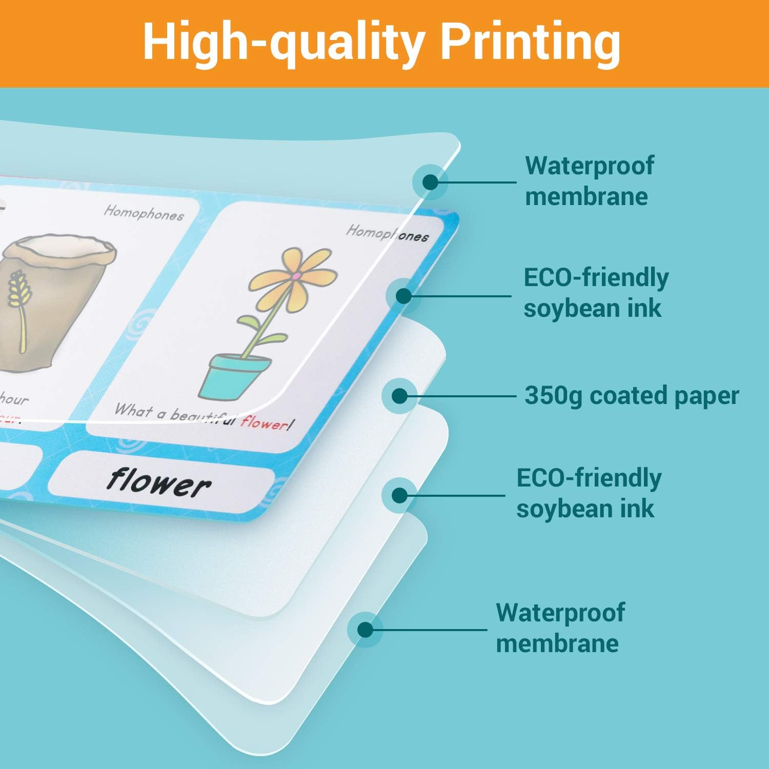 Zwttey 23 Groups Homophones Flashcards Pocket Card Grammar Learning Building Vocabulary Homeschool Kindergarten Supplies