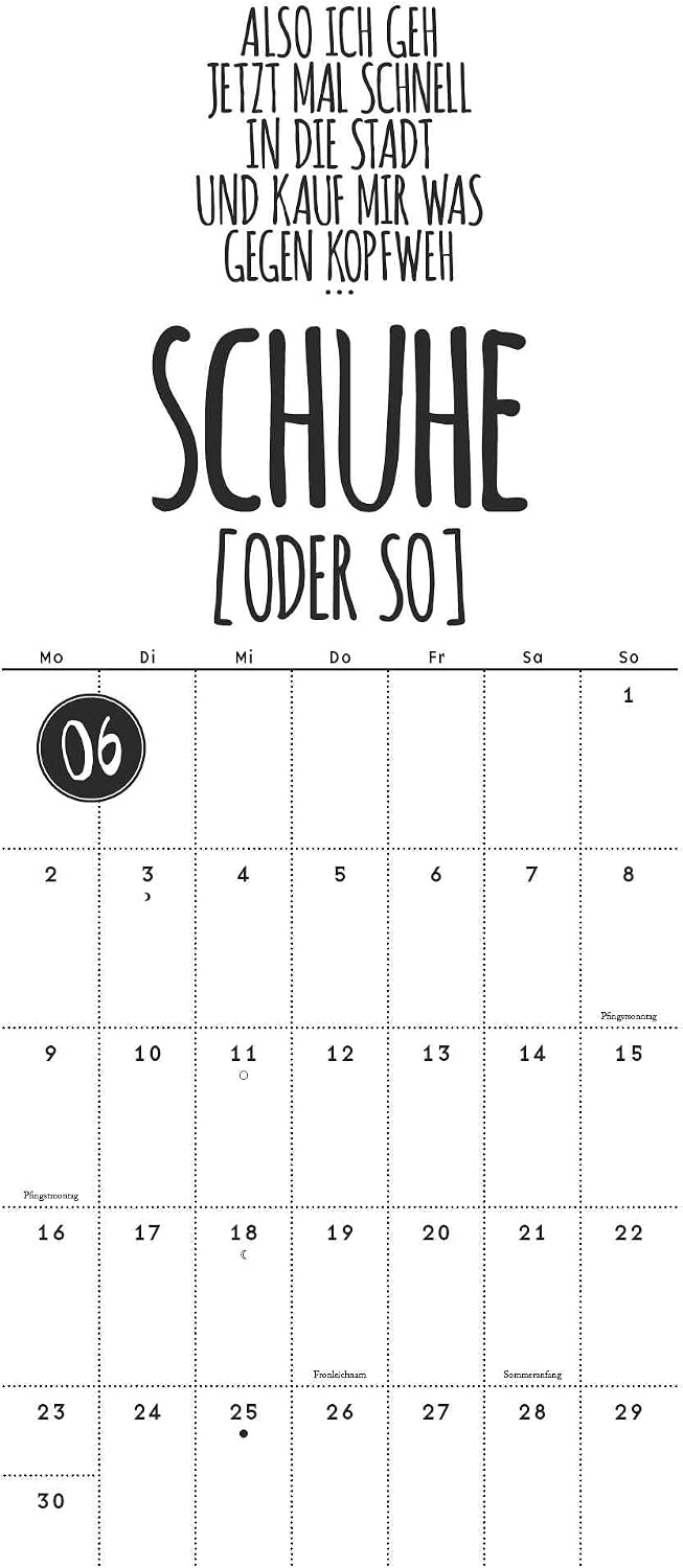 DUMONT Funi Smart Art 2025 Notebook Calendar, 22 x 49.5 cm, Planner with Funny Sayings and Quotes, Overview of School Holidays