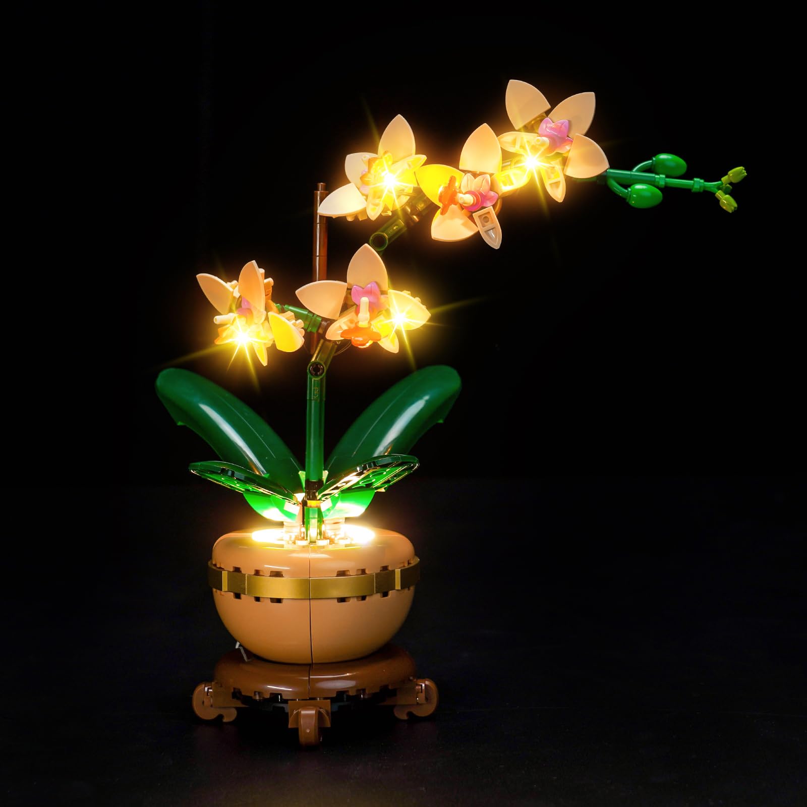 Hilighting Upgraded Led Light Kit Compatible with Lego Mini Orchid Building Set, Lights Decoration Compatible with Lego 10343 (Model Not Included)