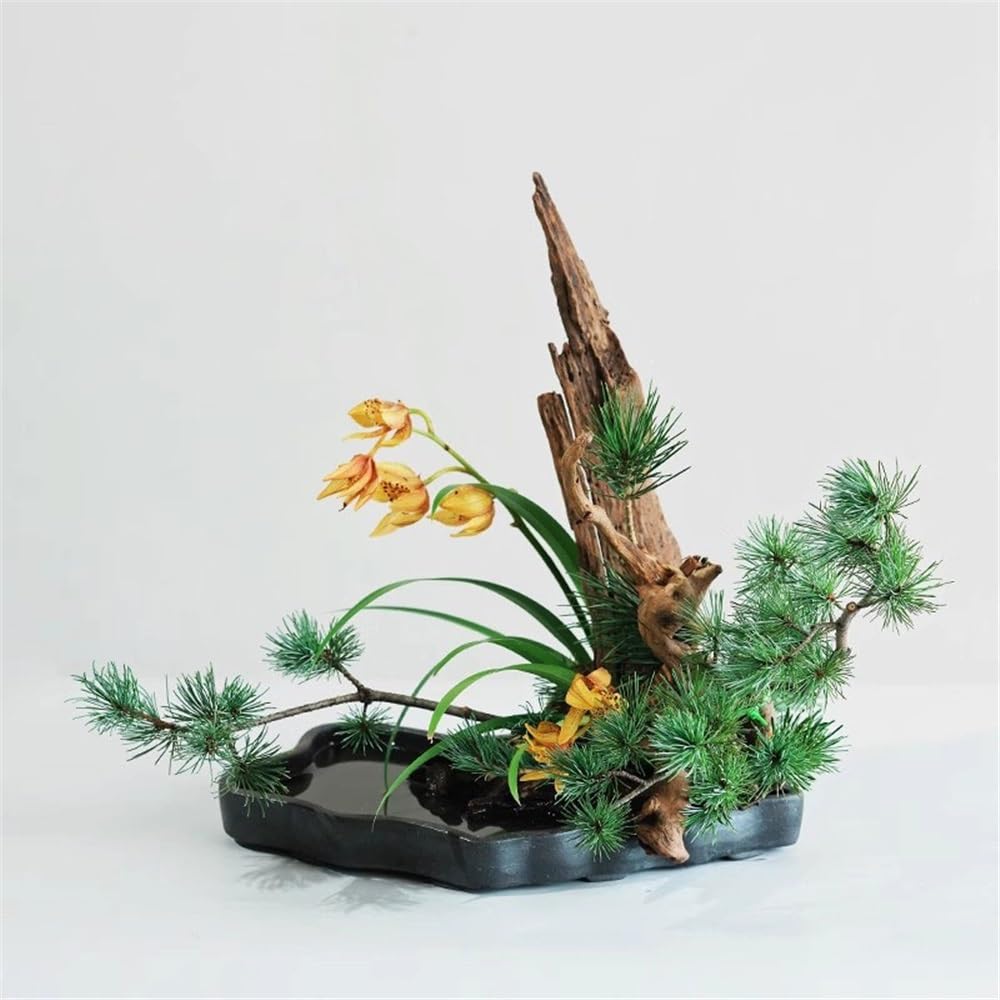 Versatile Sottovaso for Piante Grande Irregolare in Ceramica di Argilla Viola