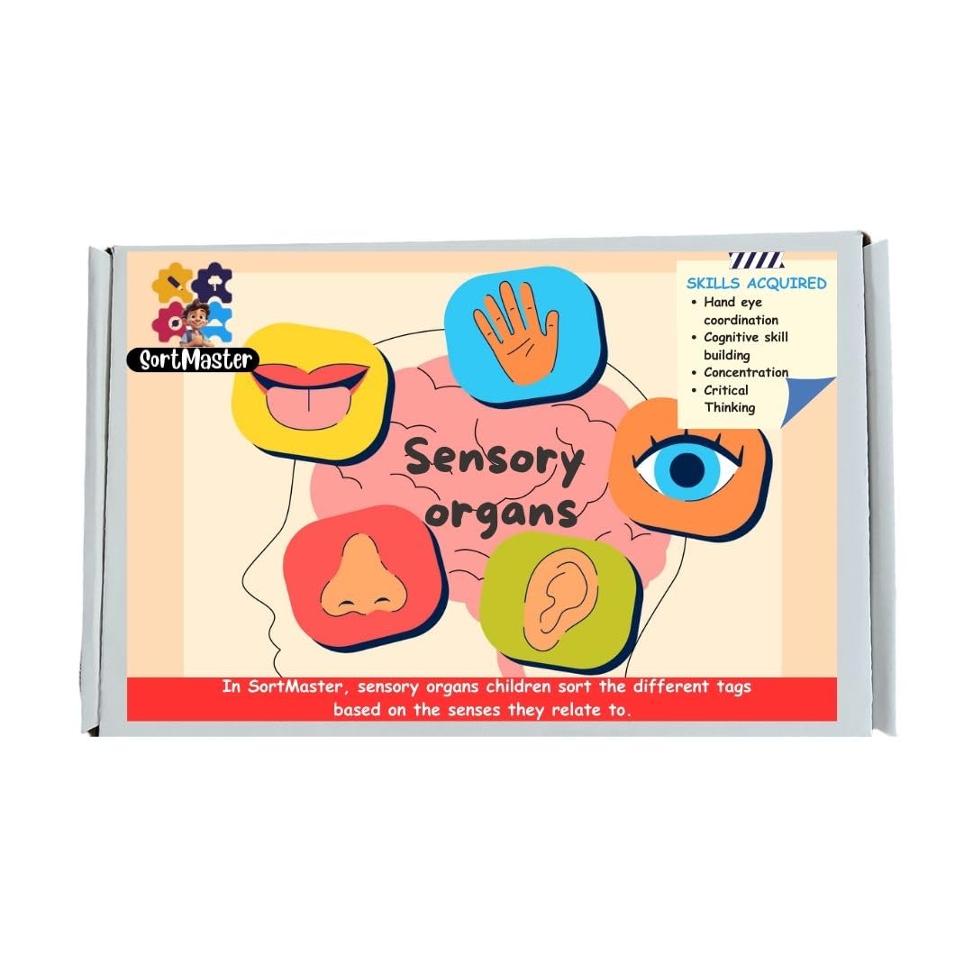 The Joy Junction, SortMaster Sensory Organs, Sorting Activity for Kids Based on Sensory Organs, Multicolor, 25 * 16 cm