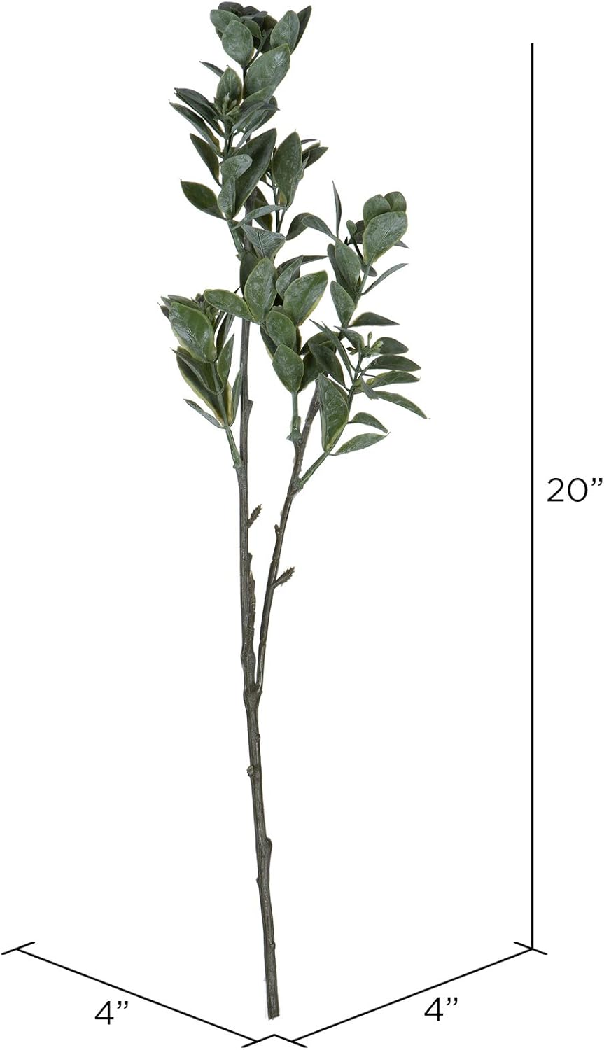 Vickerman Everyday 20" Artificial Green and White Aglaia Spray - Faux Chinese Perfume Plant Decor - Home Or Office Indoor Arrangement Accent - 6 Pack