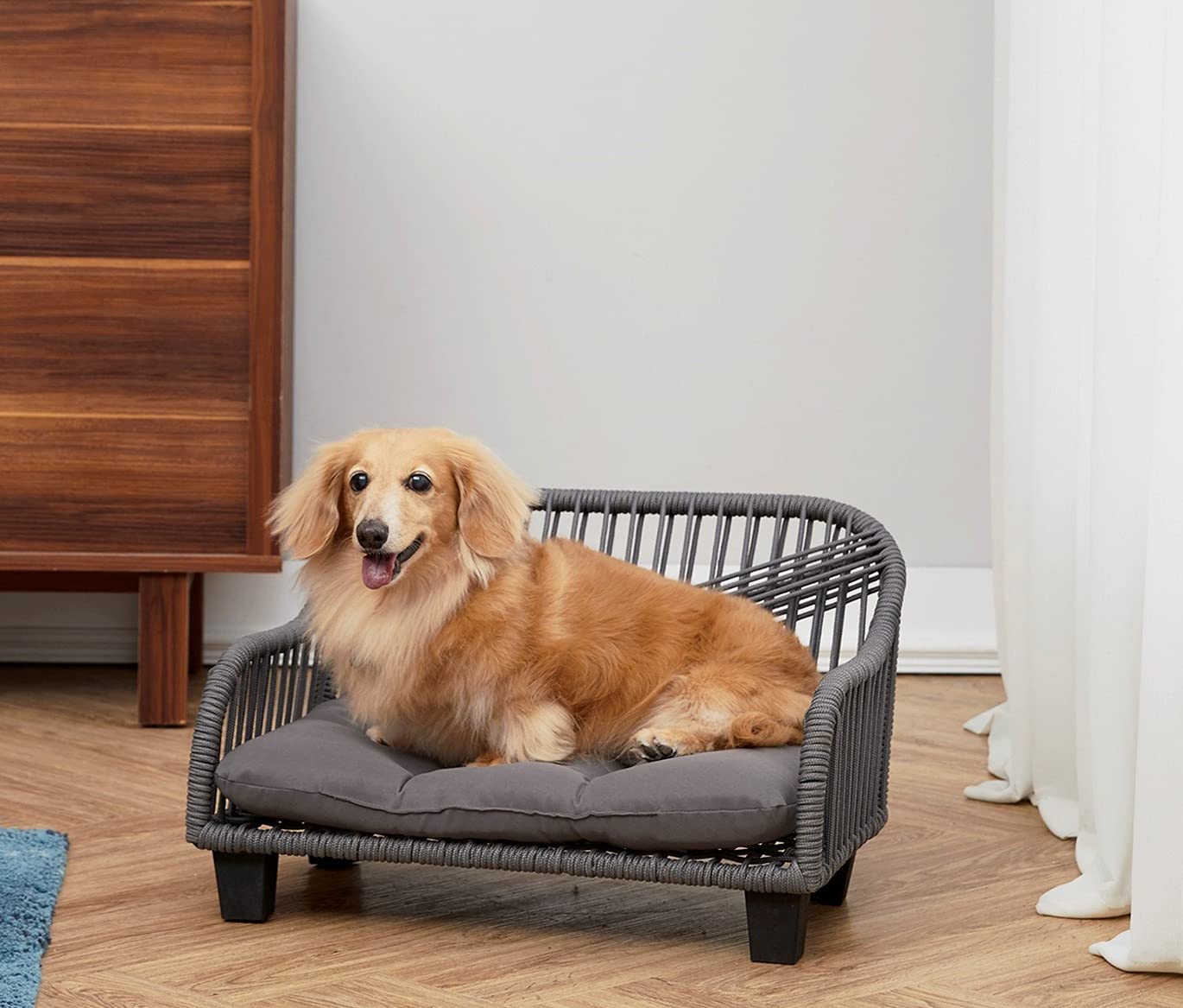 Is It Ok For Dogs To Sleep Outside