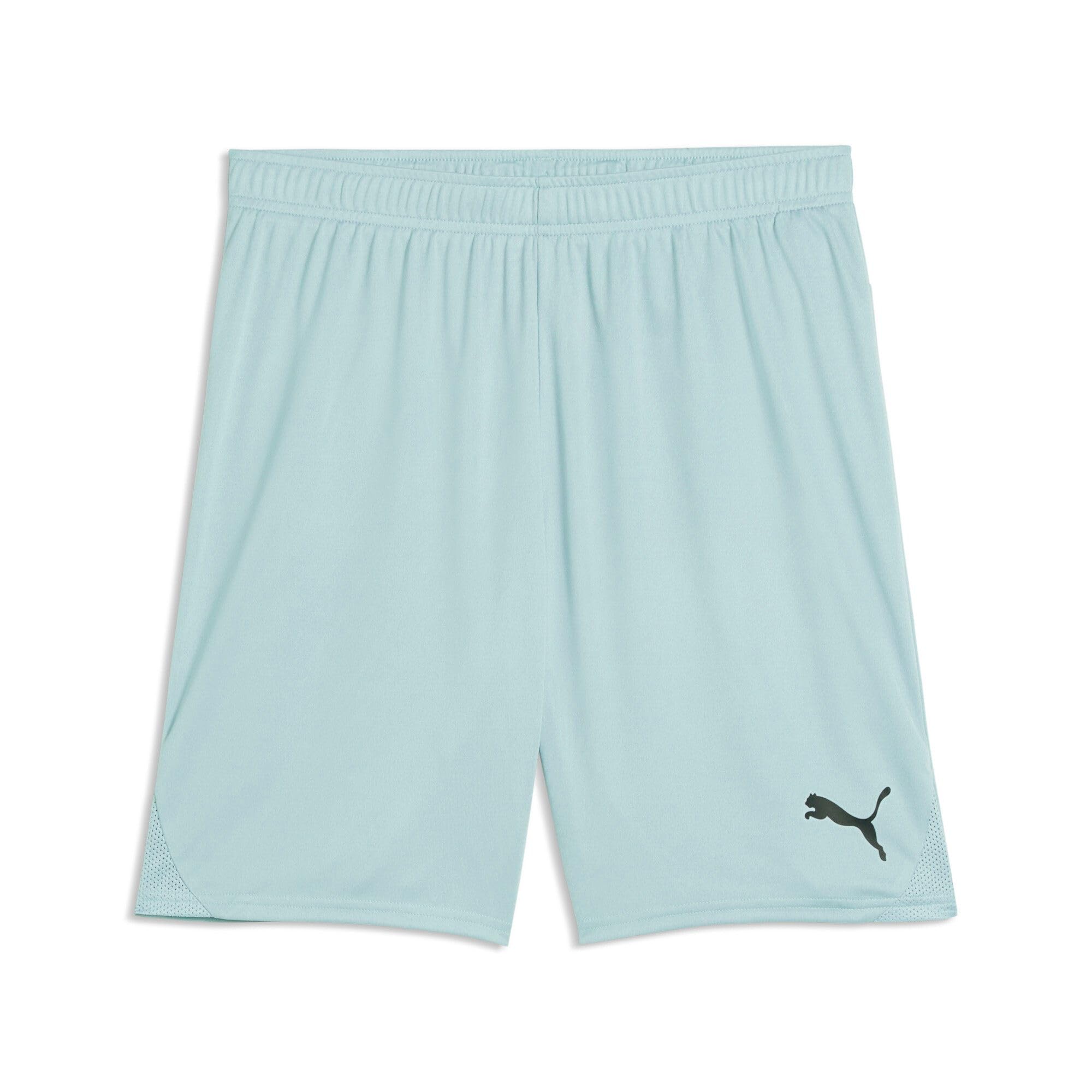 PUMA teamGOAL Shorts