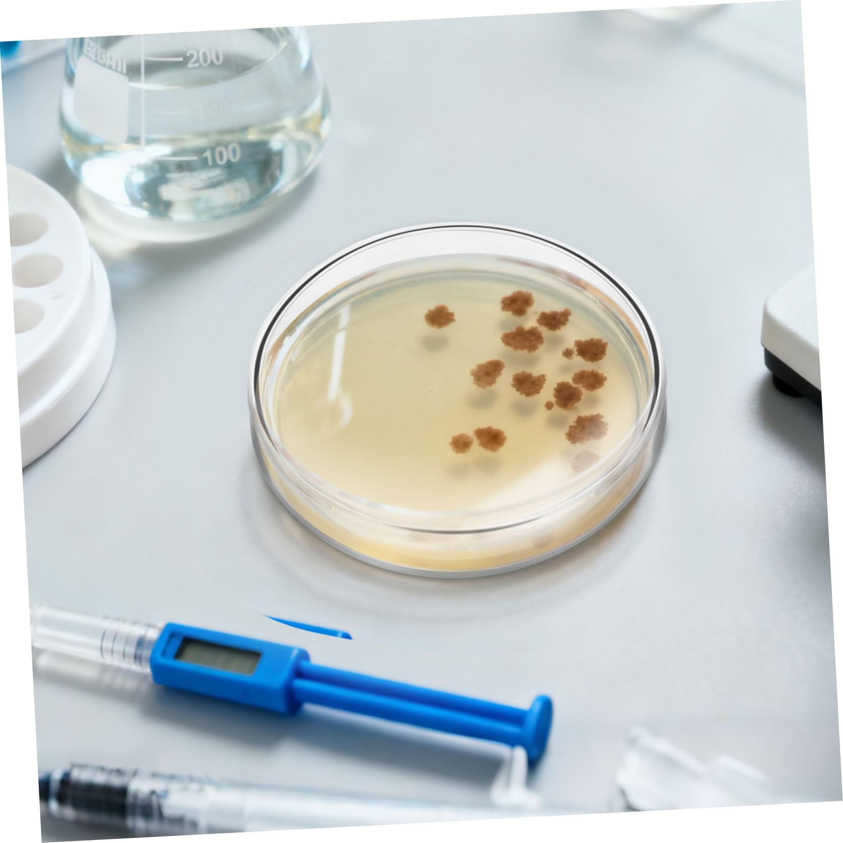 SHINEOFI 10 Placas de Petri con Agar Nutritivo de 7 Cm, con Agar Prevertido, Ideales para Proyectos Escolares, Investigación Y Experimentos Científicos.