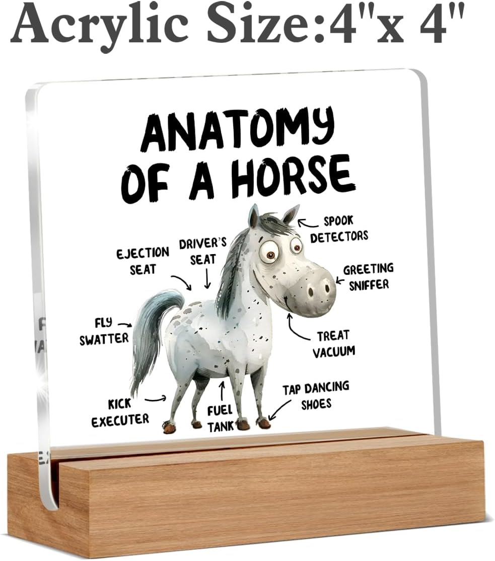 Funny Horse Gifts for Women Men, Cool Gifts for Horse Lovers image 2