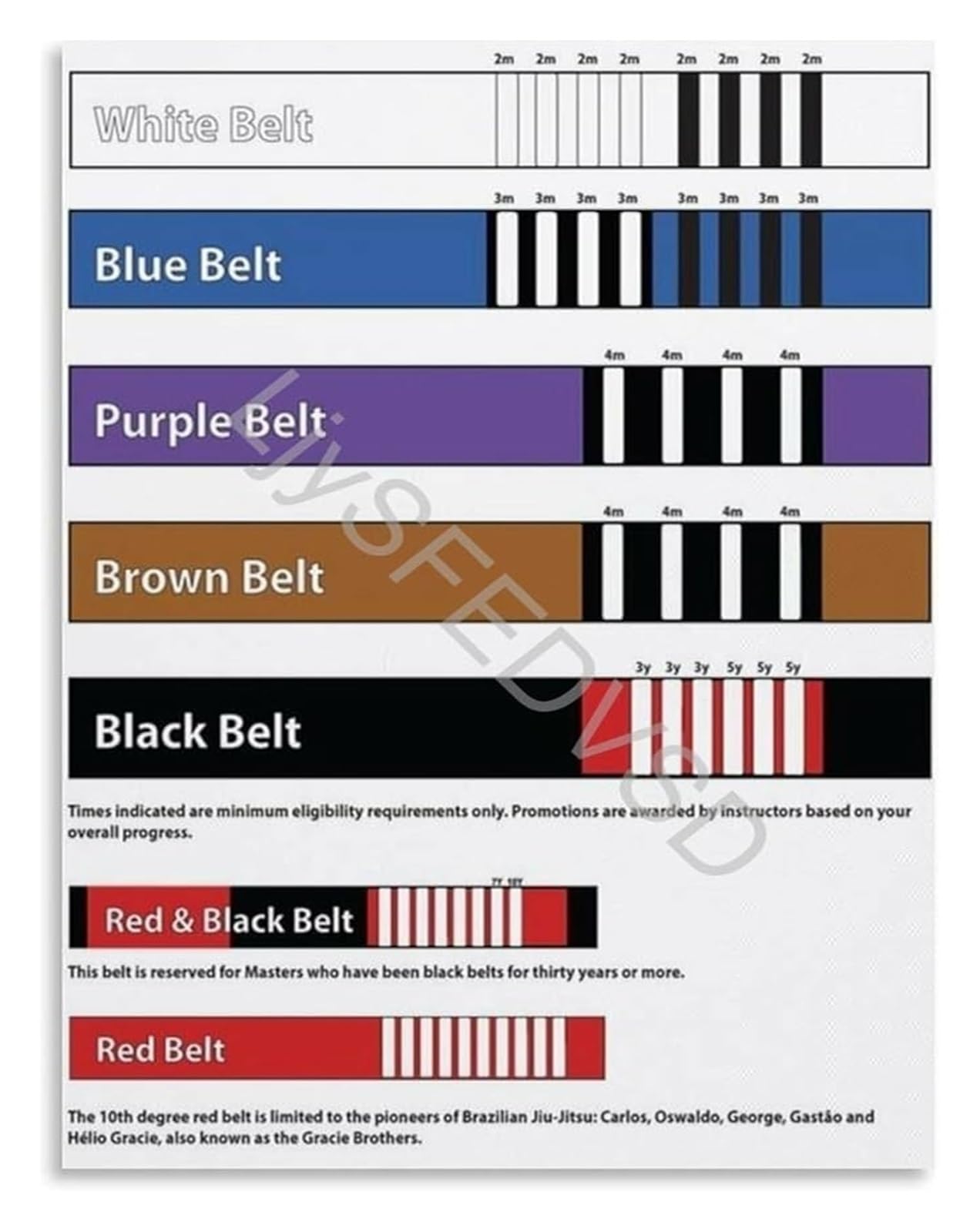 UYCUODLUY Brazilian Jiu Jitsu Belt Levels Chart BJJ Ranking Progression Guide Martial Arts Training Motivation Wall-Art Print(Framed,08x12inch(20x30cm))