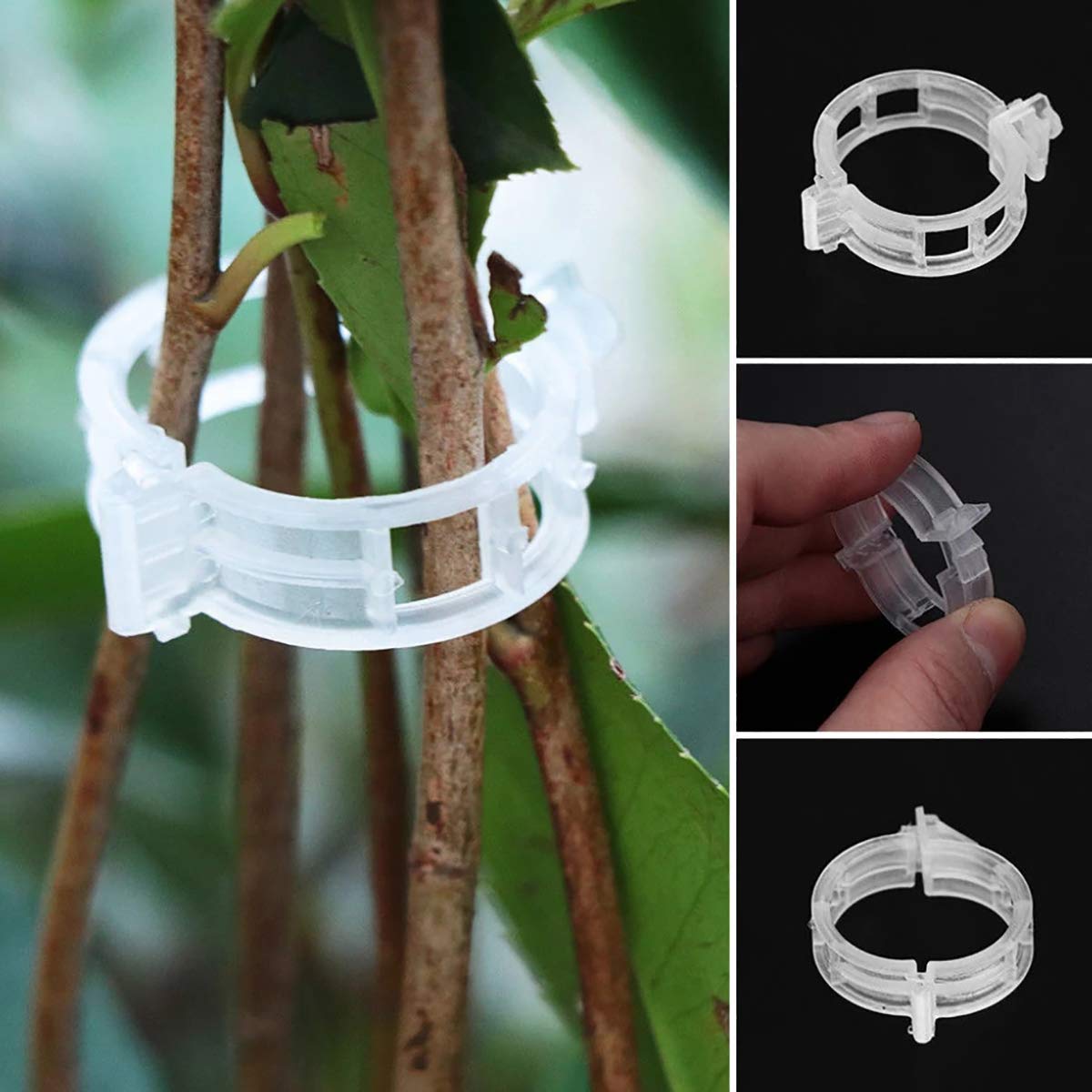Clip per piante in plastica stole fissaggio fissaggio fissaggio morsetto fragola