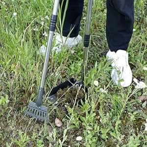 3 Pcs Pooper Scooper Metal Tray Rake and Spade Set with Long Handle Sturdy Dog Pooper Scooper Multifunctional Poop Scoop for Pet Waste Removal on Grass Dirt and Gravel  Cucciolini Doodles 3 pcs pooper scooper metal tray rake and spade set with long handle sturdy dog pooper scooper multifunctional poop scoop for pet waste removal on grass dirt and gravel   cucciolini doodles