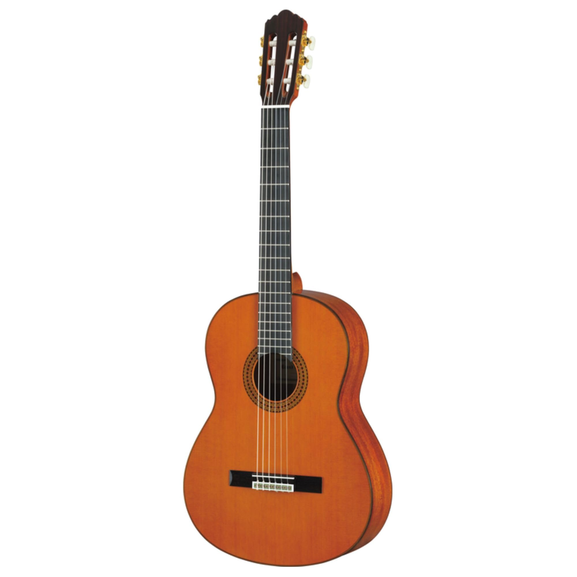 Amazon.com: Yamaha GC12 Handcrafted Classical Guitar Cedar