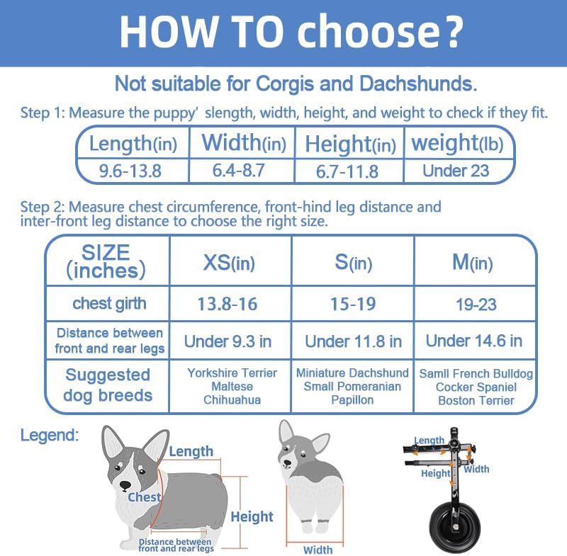 adjustable small dog wheelchair - mobility aid for disabled pets,small dog wheelchair for back legs? leg brace & hip support (middle)