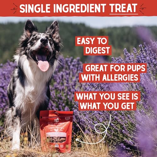 Stella & Chewy's Freeze-Dried Raw Chicken Heart Dog Treats - Single Ingredient, No Additives - Premium Training Treats - Perfect For Picky Eaters - 11oz Bag - Image 3