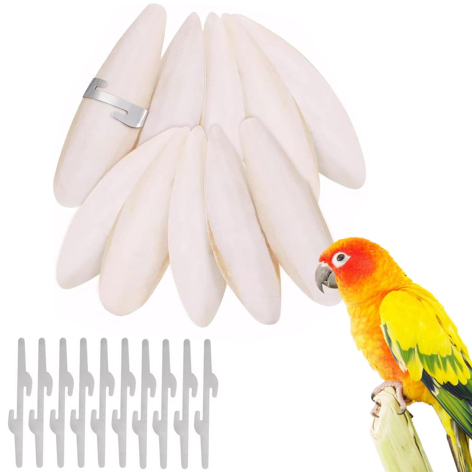 JDCMEI 10 Pcs Cuttlefish for Birds, 9-12cm Natural Cuttlefish Bone, Natural Cuttlebone for Pets, Cuttlefish for Tortoise with 10 Pcs Metal Holder for Parrots Cage Birds Reptiles Tortoises Snails