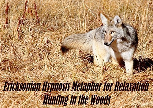 Anxiety-Depression Release Hypnosis CD Hunting in The Woods Ericksonian Metaphor