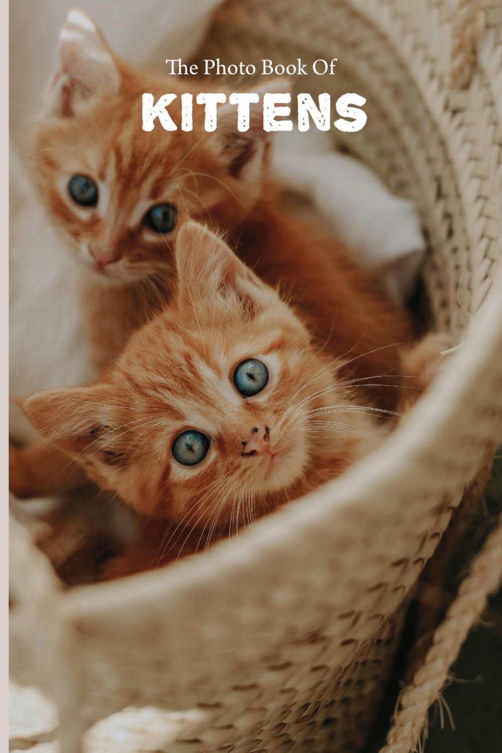 The Photo Book Of Kittens: Beautiful Photographs of Kittens for people suffering with Alzheimer’s or other forms of dementia