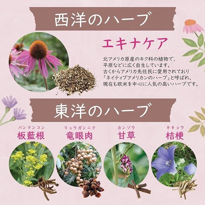 Amazon.co.jp: エキナケア のど飴 松浦薬業 ノンシュガー 喉 ノド あめ