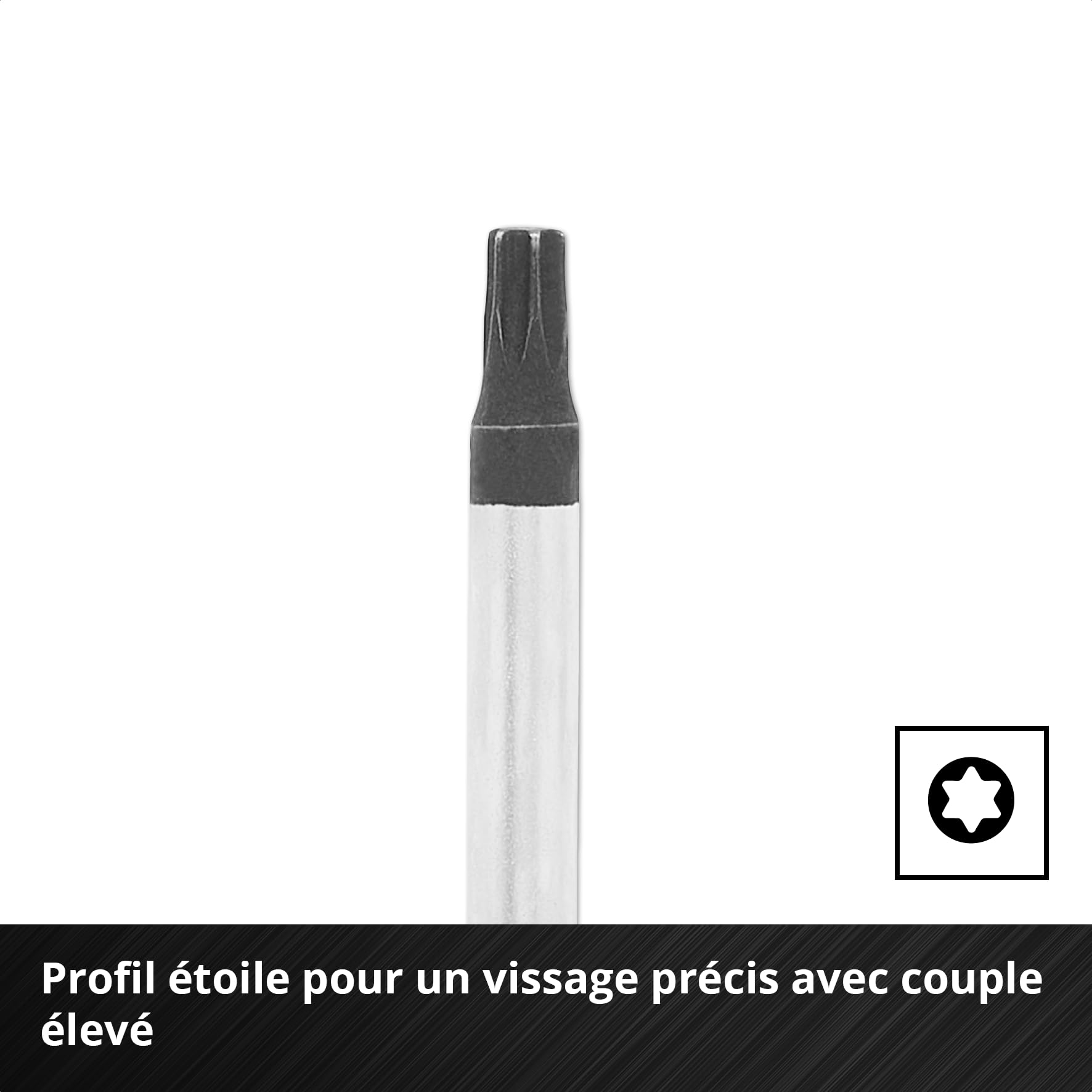 Einhell E-Case insert d’outils 17 pièces avec jeu de tournevis | Tournevis de réglage de carburateur | mécanique de précision | capuchon de frappe | profil Torx | acier CrV | système E-Case