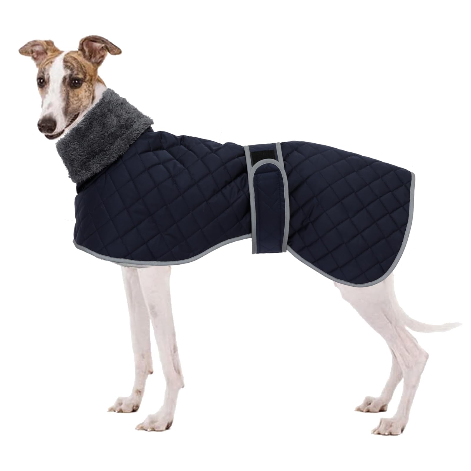 Geyecete Manteau Chien Hiver pour lévriers,Manteau Chien imperméable pour Levriers,Pull Chien pour Whippets avec Doublure en Polaire Chaude,Vêtements pour lévriers/Lurchers/Whippets-Bleu-L