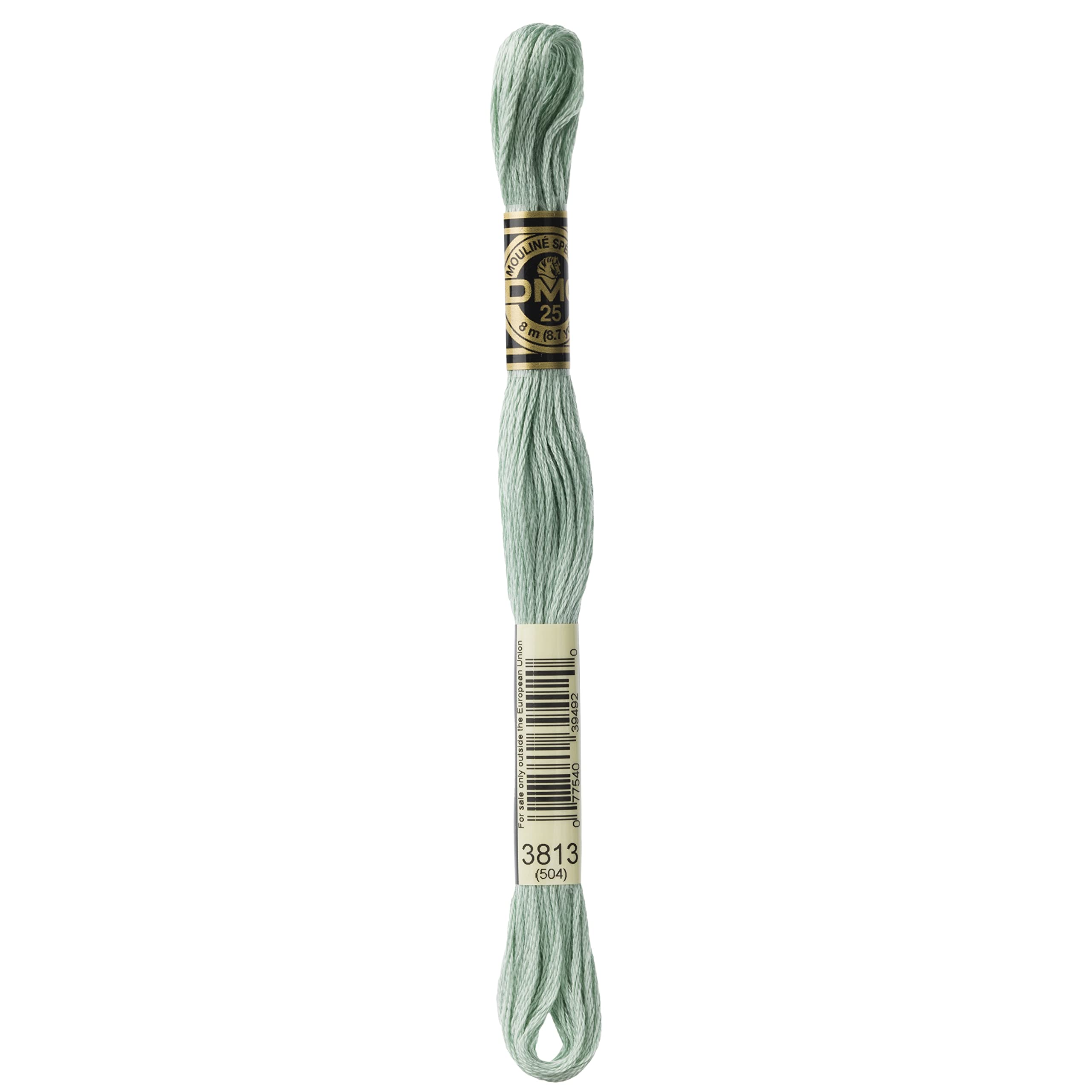DMC 6-Strand Embroidery Cotton Floss, Light Blue Green
