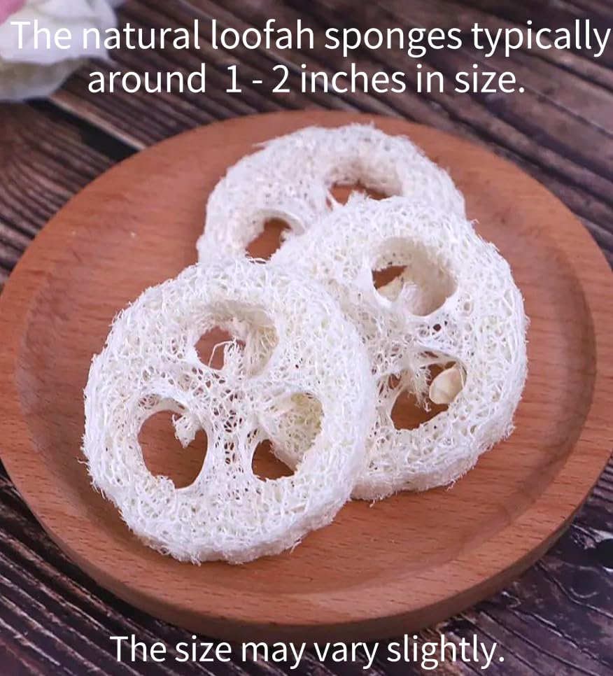 Image of Wooden Dish Brush and Natural Loofah Sponge (2 inches) Sets, 3Pcs, Sisal Dish Brushes, Eco-Friendly Natural Dish Washing Brush for Dishwashing Cast Iron Pots Pans Skillet Vegetables Sink, Set of 3