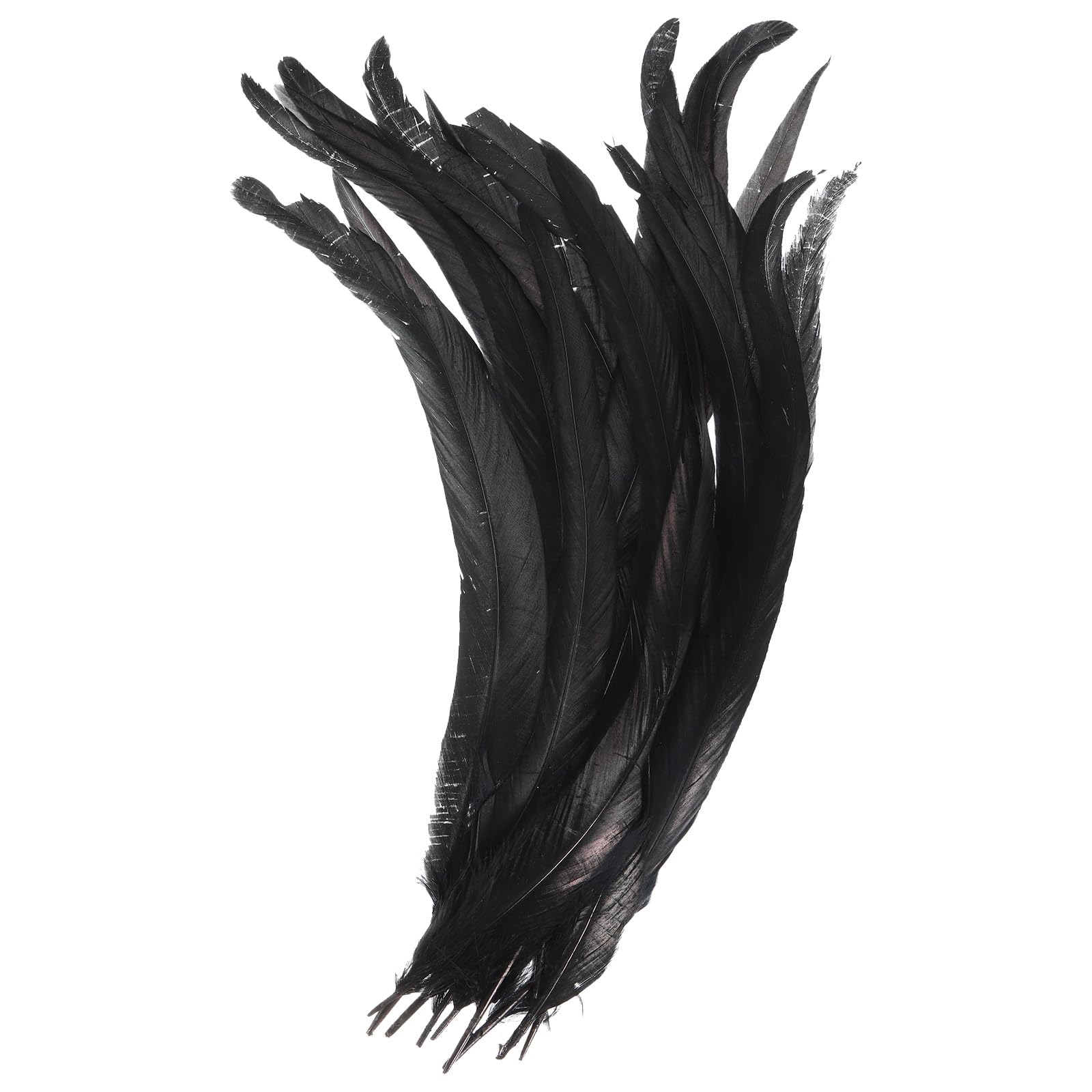 PATIKIL 14-16 Inch Rooster Feathers, 20 Pack Bulk Natural Feathers for Crafts Carnival Handwork Clothing Costumes Wedding Party Style 1, Black