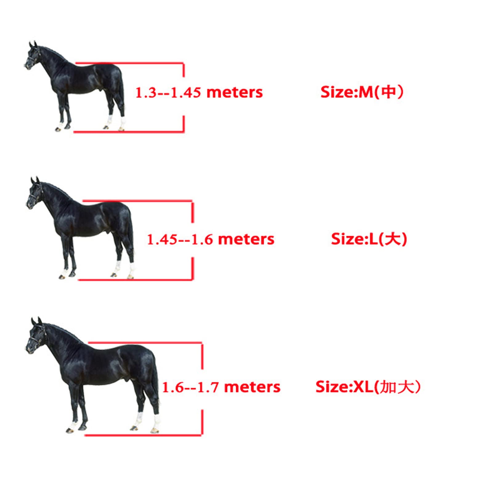 Protezione per Le Gambe del Cavallo a Ostacoli, Imbottitura Interna Morbida Ispessita con Guscio in PU, Protezioni per Le Gambe del Cavallo per Assorbire Gli Urti