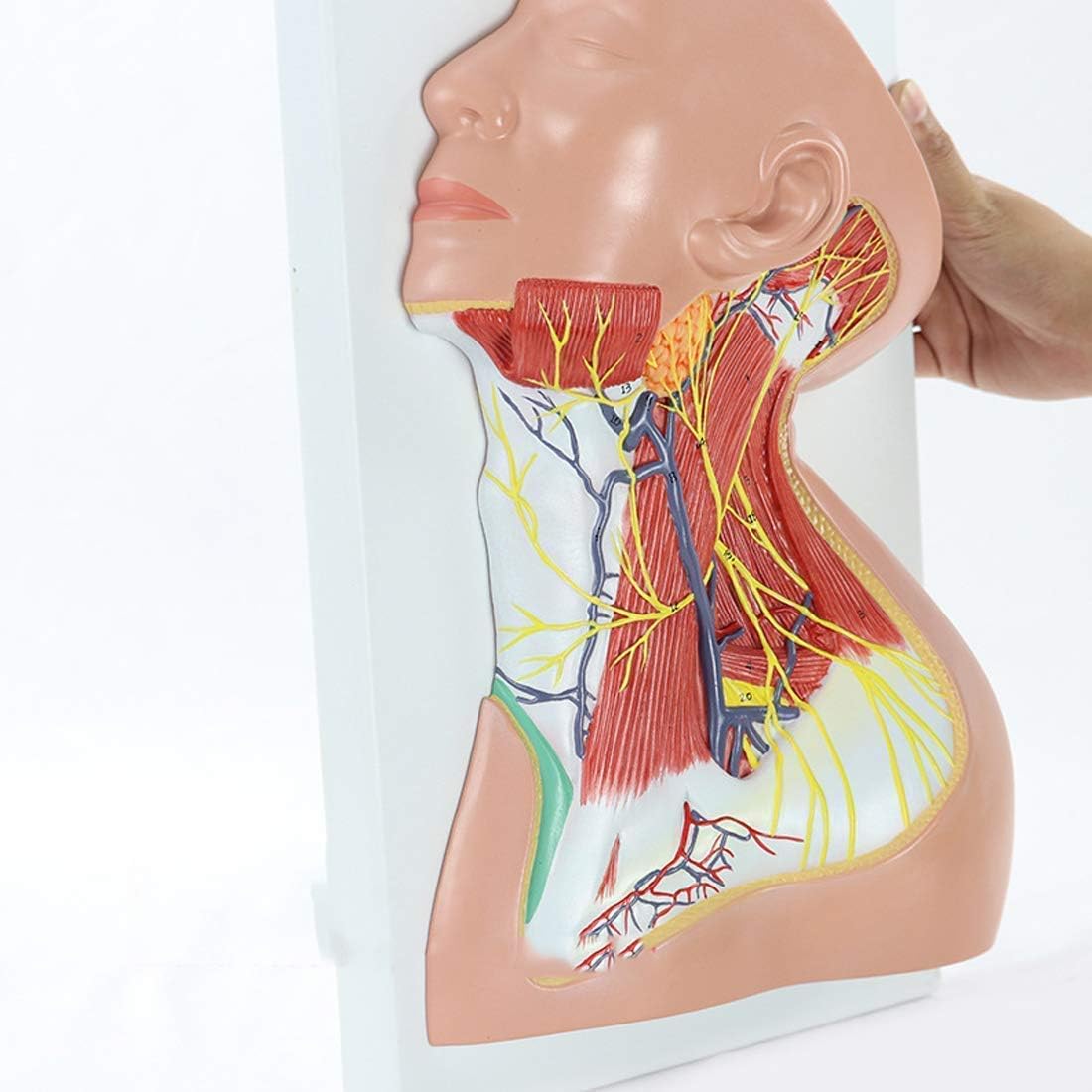 FCRB メディコム TOY RAH 52-STAR HOME FCRB MEDICOM TOY RAH 52-STAR