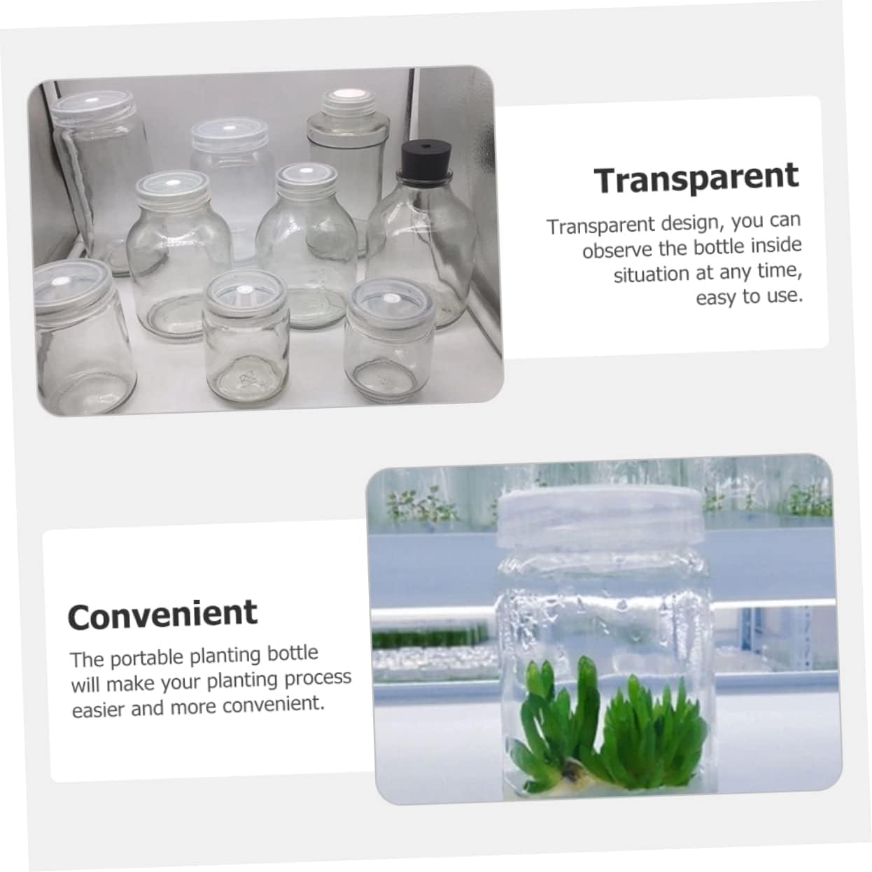 4 個ブレースキット花用クリア花瓶透明コンテナ蓋付き園芸ポットミニ温室発芽キノコ成長ジャージャー植栽ボトルカルチャーフラスコスイート