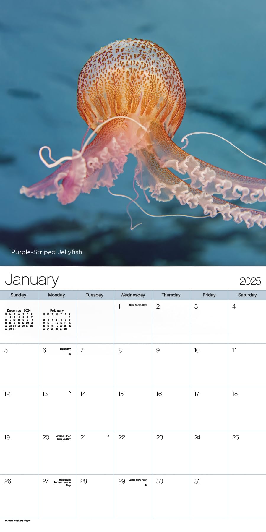 Calendario de pared 2025 Ocean Life