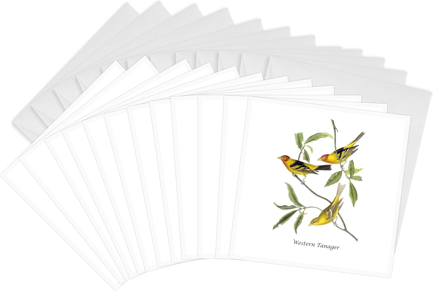 Greeting Cards - Western Tanager by John James Audubon - 12 Pack - BLN John James Audubon Collection