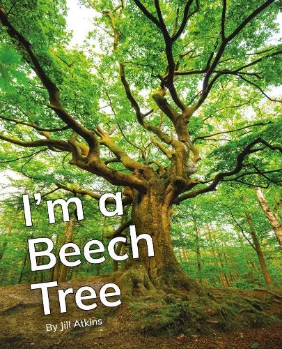 Im a Beech Tree PAPERBACK 9781800478756