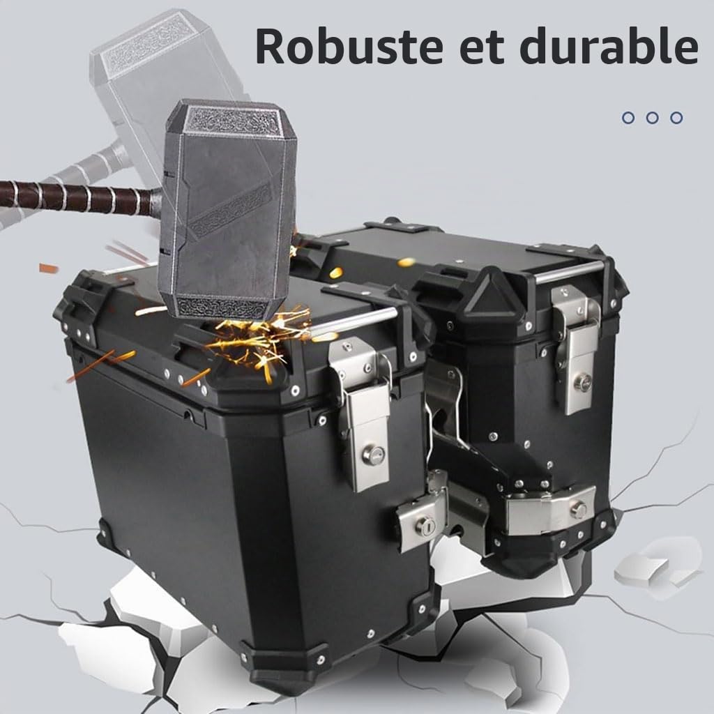 Valise latérale Universelle de Moto 38L, Sacoche de Moto pour Moto de Tourisme, Sacs de Selle rigides en Aluminium, boîte arrière, Coffre Universel,B,Silver