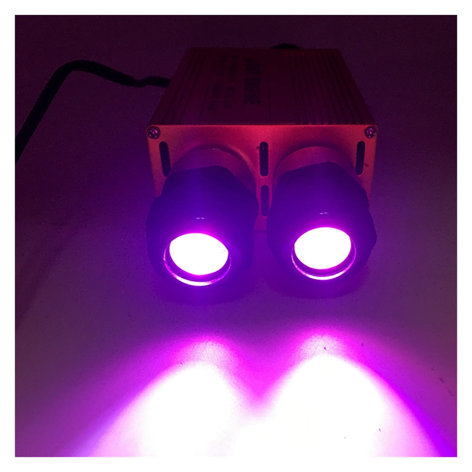 Złota aluminiowa podwójna głowica 2 * 16W LED światłowód, 32W RGB, 24-klawiszowy zdalny sterownik światła światłowodowego,Wytrzymały