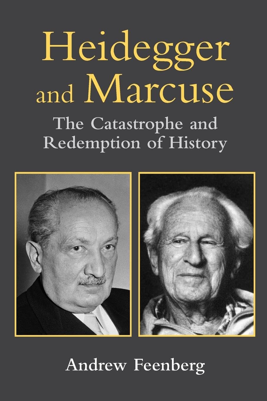 Heidegger and Marcuse by Andrew Feenberg - 9780415941785