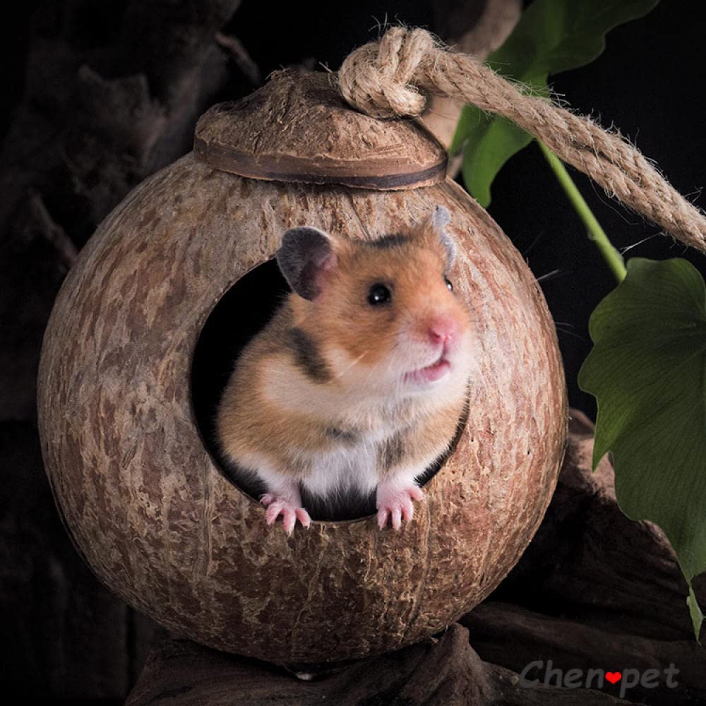 Hamster Hängematte Kleine Haustier Kokosnuss Käfige Haustier Käfig for Hamster Meerschweinchen Eichhörnchen Holz Haus,Vogelnester(A)