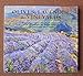 Produktbild Olives, Lavender and Vineyards: A Cornish Painter in the South of France