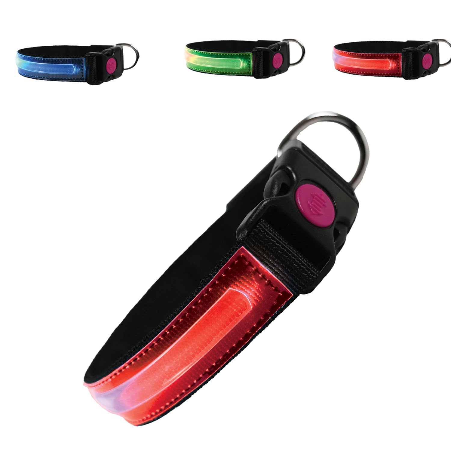 PETTY LED Dog Collar - Rechargeable USB Collar with Buckle Closure and Safety Button for Small Medium, and Large Dogs (3XS Red)