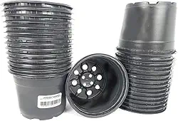 Vaso Pote 11 Plastico Plantar Suculenta Flores Mudas 100 Und