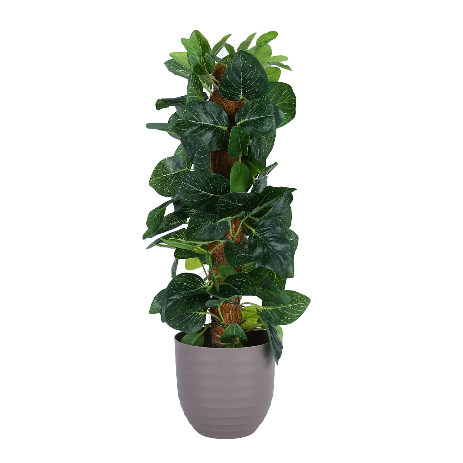 Amazon Basics Artificial Climber Plant with Brown Plastic Pot|Realistic 45 CM Faux Greenery|Durable Plastic|Stylish & Compact|Zero Maintenance|Indoor, Outdoor, Home & Office Décor, Artificial Plant