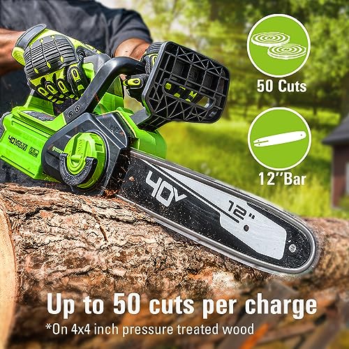 Greenworks 40V 12