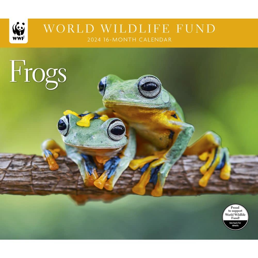 Amazon.com: Calendar Ink, Frogs WWF 2024 Calendar : Office Products