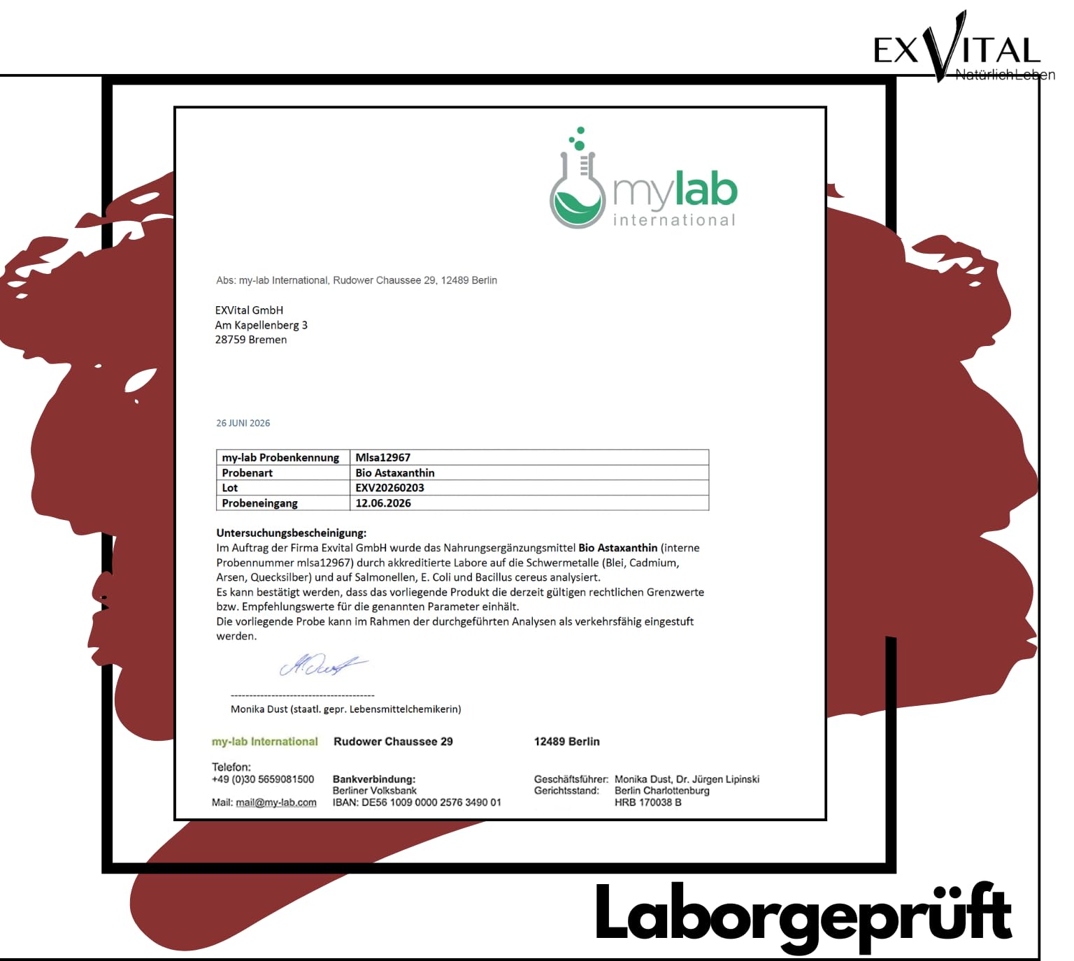 Bio Astaxanthin Tropfen, 8mg Astaxanthin pro Tagesdosis, Hochdosiert & Vegan - 100% natürliches Astaxanthin - Hohe Bioverfügbarkeit - Laborgeprüft, 30 ml