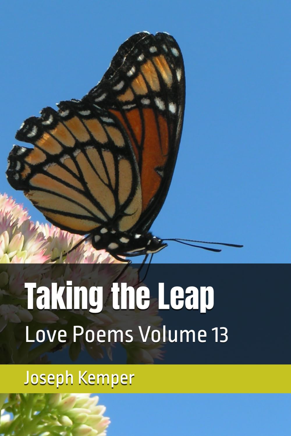 Taking the Leap: Love Poems Volume 13