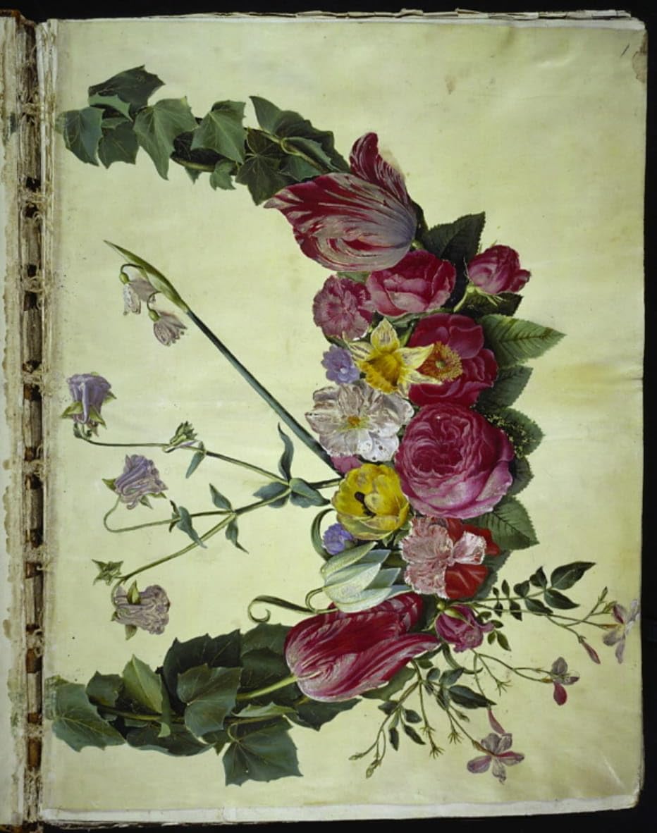 Lienzo cuadro de grúas Blomster Hans Simon Holtzbecker decoración hogar 60x90 5