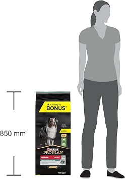 PRO PLAN Orta Irk Yetişkin Kuru Köpek Maması Kuzu Etli 14+2.5 kg