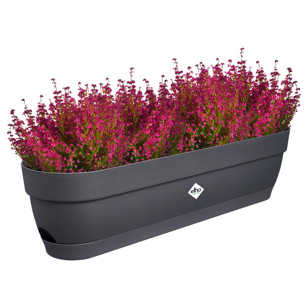 elho vibia campana trough 70cm plant pot - Anthracite